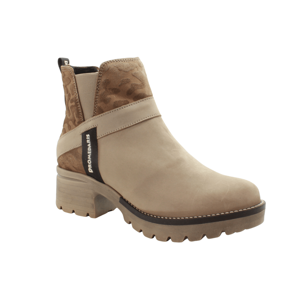 DROMEDARIS Sample Sale - Gruppe P - Knöchelstiefel