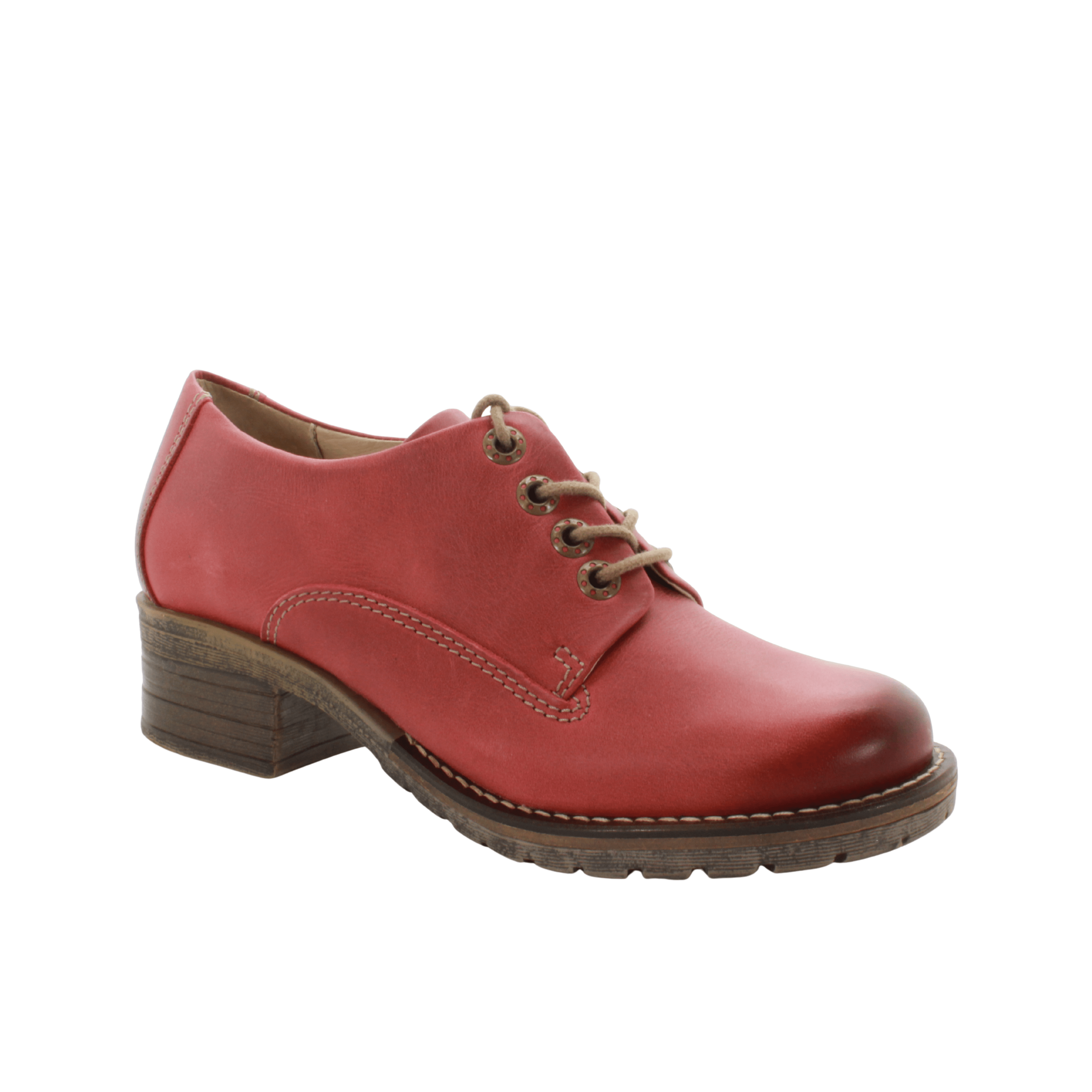 DROMEDARIS Sample Sale - Gruppe L - Oxford Schuhe / Wohnungen