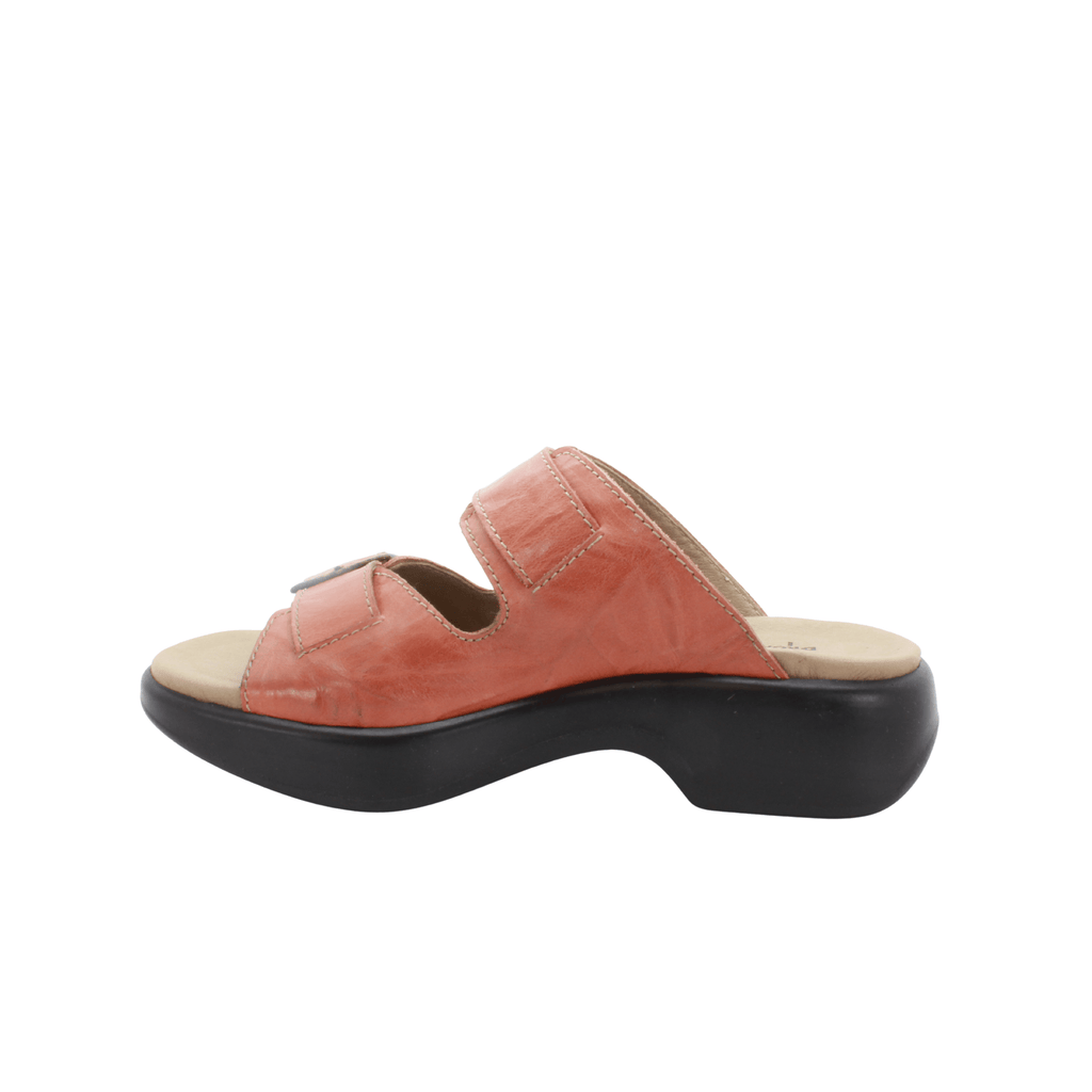 DROMEDARIS Sample Sale - Gruppe H - Rocker Bottom Sandals